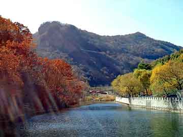 新澳天天开奖资料大全旅游团，津seo排名